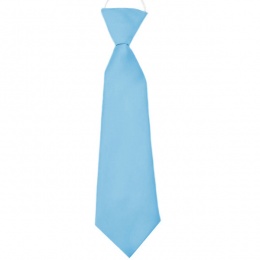 Boys Sky Blue Plain Satin Tie on Elastic